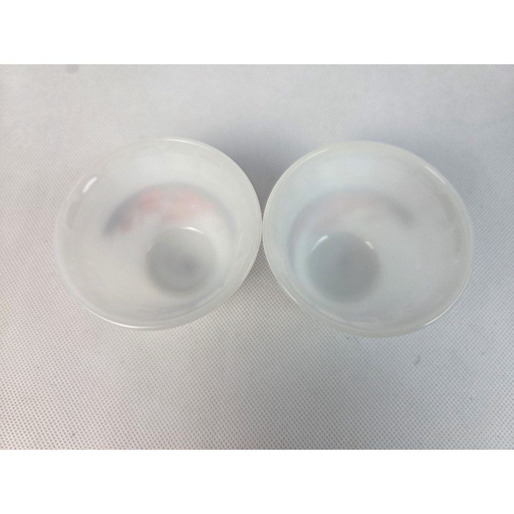 Lot of 2 Indopal Floral Milk Glass Custard Bowls No Lids Made in Indonesia - Picture 3 of 4